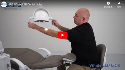 ADS Whale LED Dental Light